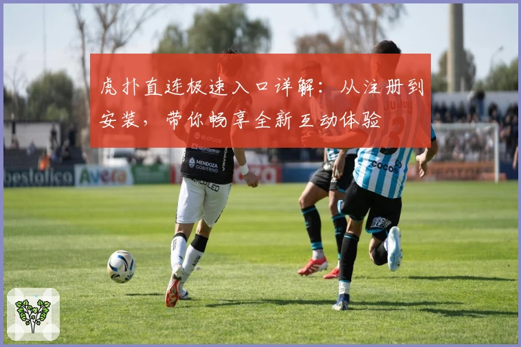 虎扑直连极速入口详解：从注册到安装，带你畅享全新互动体验